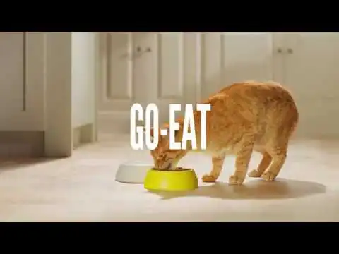 Go-Cat:registered: For Go-Getters